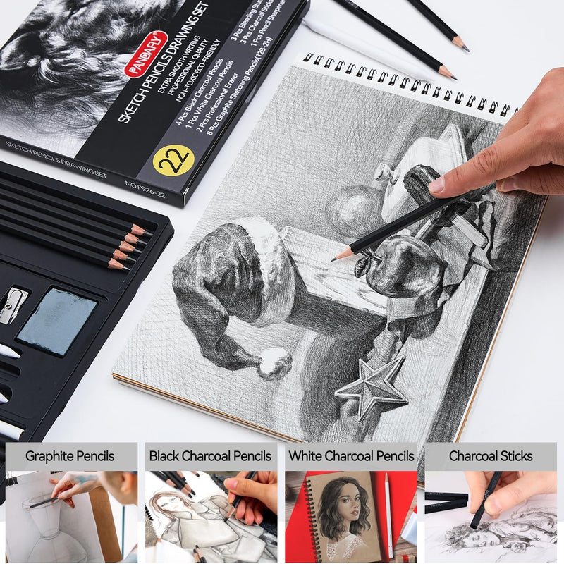 PANDAFLY Drawing Sketching Pencil Set, 22 Piece Pro Art Pencil Kit - Graphite Pencils (12B-2H), Black and White Charcoal Pencils, Charcoal Sticks, Stumps, Eraser, Sharpeners