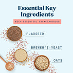 Lactation Cookies Breastfeeding Supplement - Chocolate Chip - Support Mothers Breast Milk Supply Increase - with Brewers Yeast Powder, Oat Flour, and Flax for Lactation - Fenugreek Free - 10oz