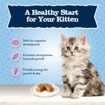 Blue Buffalo Baby Blue Chicken Kitten Natural Dry Cat Food, 2 lb | Real Chicken #1 Ingredient Plus Brown Rice, with DHA for Cognitive Development, Antioxidant-Rich LifeSource Bits