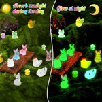 135 PCS Luminous Mini Resin Ducks Tiny Glow in The Dark Duck/ Chickens/ Rabbit/ Frogs /Dolphin /Mushroom/ 6 Combination Sets Resin Miniature Animals for Micro Landscape Dollhouse Garden Decoration