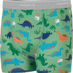 Hanes Boys' Potty Training Underwear, Light Leaks Toddler Cotton Briefs and Boxer Briefs, Multi-pack