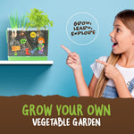 Dan&Darci root viewer kit for kids, grow your own plant, science STEM toy, craft gardening kit for ages 4-8