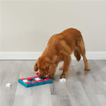 Interactive dog puzzle by Outward Hound and Nina Ottosson, level 2 intermediate, 3-in-1 challenge, slow feeder, boredom buster