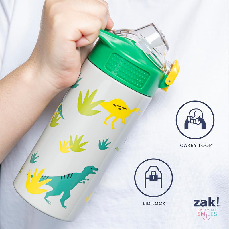 Zak Designs Sonic the Hedgehog Sage 19oz Leak-Proof Straw Kids Water Bottle | BPA Free, Insulated Stainless Steel, Cupholder Friendly, Dishwasher Safe, Lid Lock, Handle, For School, Home, Travel, Outdoor