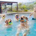 MEWTOGO 4 Pcs Dog Pool Floating Toys - Squeaky Dog Water Toys, Safe Durable TPR Interactive Dogs Toys for Aggressive Chewers Large Fetching Playing