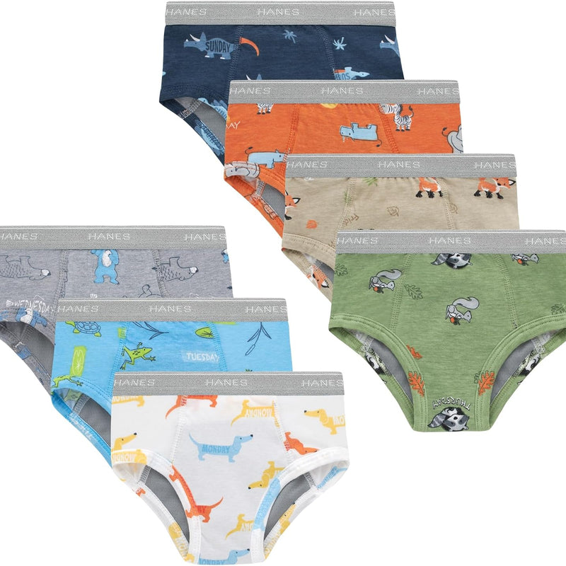 Hanes Boys' Potty Training Underwear, Light Leaks Toddler Cotton Briefs and Boxer Briefs, Multi-pack