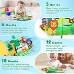 BBWOO Soft Baby Book Toy, Tummy Time Toy for Infant 0-6 Months, Touch and Feel Sensory Crinkle Book