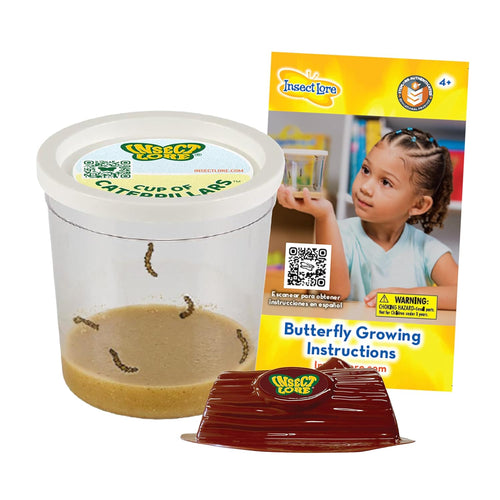 Insect Lore Painted Lady Caterpillars - Live Refill for Butterfly Garden Kit STEM Learning