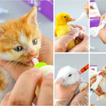 Puppy Kitten Bottle for Nursing, Newborn Baby Dog Cat Rabbit Feeding Feeder