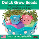 Kids' Axolotl Terrarium STEM Science Kit, Arts and Crafts, Indoor Gardening for Girls (Ages 6+) - Spring Gifts & DIY Toys