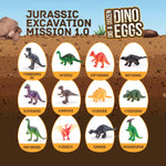 Dan&Darci Dig a Dozen Dino Egg Kit for 3-12 year olds, 12 Eggs & Surprise Dinosaurs, Science STEM Activities - Dinosaur Toys Gift