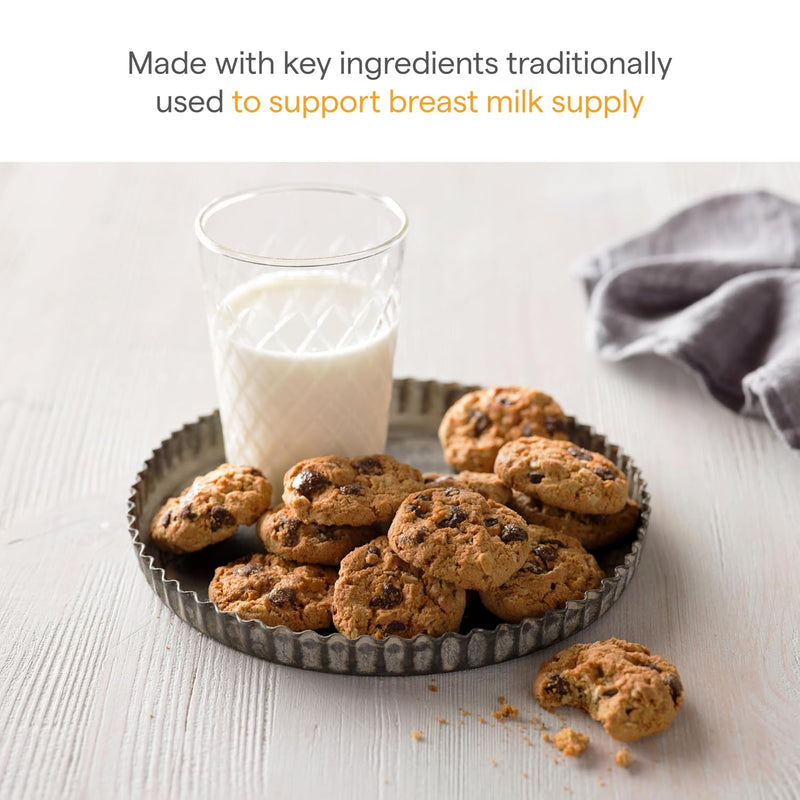 Munchkin Milkmakers Lactation Cookie Bites, Oatmeal Chocolate Chip