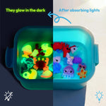 Klever Kits Glow-in-The-Dark Water Gel Kit, Magic Fairy Water Pets Toy Kit with 10 Gels(7 Glow-in-The-Dark Gels), 12 Molds, Preserving Bottle, DIY Squishy Maker Craft Kits, Arts and Crafts for Kids