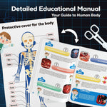GobiDex 40-Piece Anatomy Figure, Glow-in-the-Dark Bones, STEM Educational Toy for Kids Ages 8+