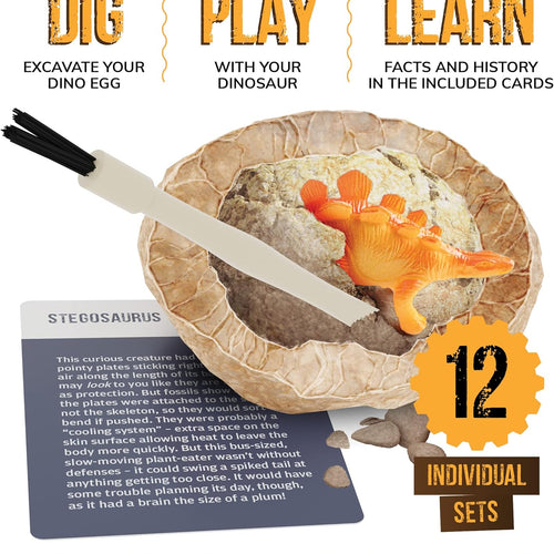 Dan&Darci Dig a Dozen Dino Egg Kit for 3-12 year olds, 12 Eggs & Surprise Dinosaurs, Science STEM Activities - Dinosaur Toys Gift