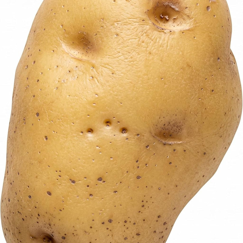 Alpi Squish Toys – Soft Squeeze Toys for Kids and Adults – Realistic Fake Food Stress Ball, a Funny Gift Idea for Home or Office - Potato Stress Reliever