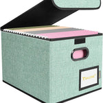 BALEINE File Organizer Box with Lid, Collapsible File Folder Organizer with Plastic Slide, Hanging File Folder Box for Office Document Storage (1 Pack, Black)