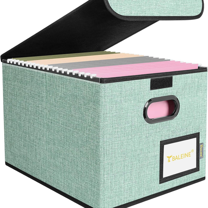 BALEINE File Organizer Box with Lid, Collapsible File Folder Organizer with Plastic Slide, Hanging File Folder Box for Office Document Storage (1 Pack, Black)