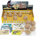 Dan&Darci Dig a Dozen Dino Egg Kit for 3-12 year olds, 12 Eggs & Surprise Dinosaurs, Science STEM Activities - Dinosaur Toys Gift