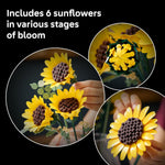 LEGO Botanicals 6-piece Sunflower Bouquet Set, Gifts for Adults, Ages 18+, Artificial Flowers Home Decor