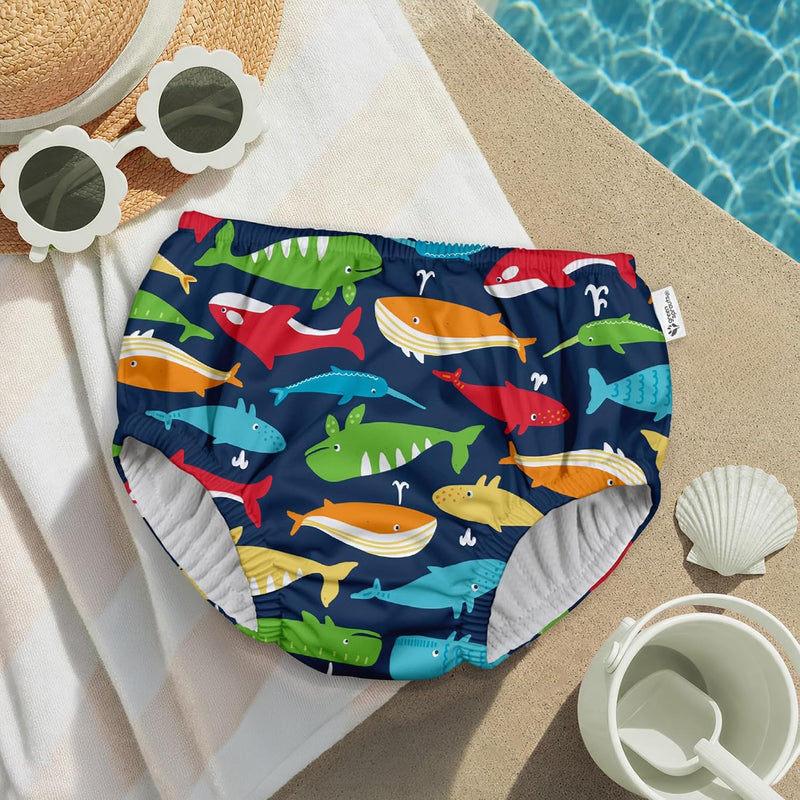 green sprouts baby boys Pull-up Reusable Absorbent Swimsuit and Toddler Swim Diaper, Navy Whale League, 3T US