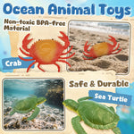 Ocean Sea Life Toy Figures Set for Kids, 12 PCS Realistic Marine Animals with Shark, Dolphin, Sea Turtle, Penguin, Seal, Clownfish, Crab, Ocean Animal Figure Toys for Boys Girls Toddlers