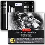 PANDAFLY Drawing Sketching Pencil Set, 22 Piece Pro Art Pencil Kit - Graphite Pencils (12B-2H), Black and White Charcoal Pencils, Charcoal Sticks, Stumps, Eraser, Sharpeners