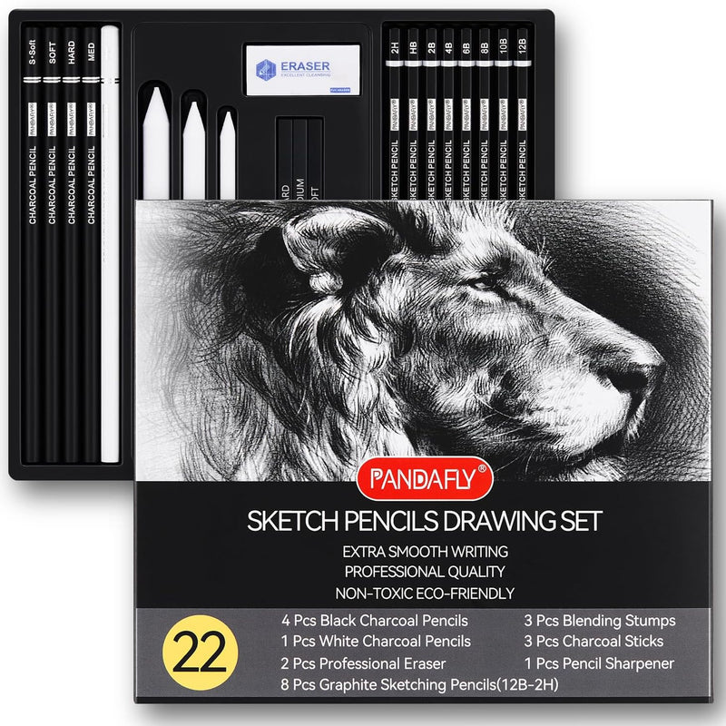 PANDAFLY Drawing Sketching Pencil Set, 22 Piece Pro Art Pencil Kit - Graphite Pencils (12B-2H), Black and White Charcoal Pencils, Charcoal Sticks, Stumps, Eraser, Sharpeners