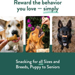 Portland Pet Food Pumpkin Dog Treats, Healthy, Grain-Free Biscuits 3 Pack | Human-Grade, Limited Ingredient, Natural Low Calorie Training Treats for Small & Large Dogs, Puppy to Senior, Made in USA