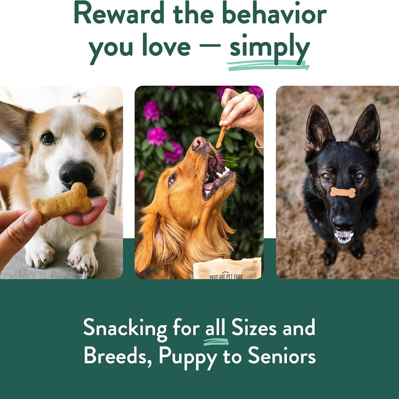 Portland Pet Food Pumpkin Dog Treats, Healthy, Grain-Free Biscuits 3 Pack | Human-Grade, Limited Ingredient, Natural Low Calorie Training Treats for Small & Large Dogs, Puppy to Senior, Made in USA