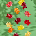 Black Forest USDA Organic Gummy Bears - 65 Pouches - .0.8Oz Each