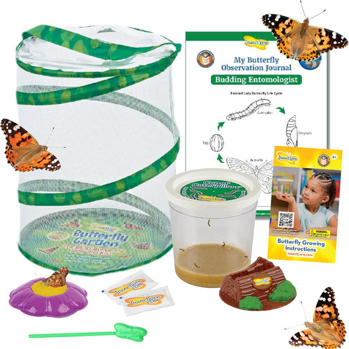Insect Lore butterfly garden with 5 live baby caterpillars, habitat and chrys-a-lid holder for STEM activity and butterfly release