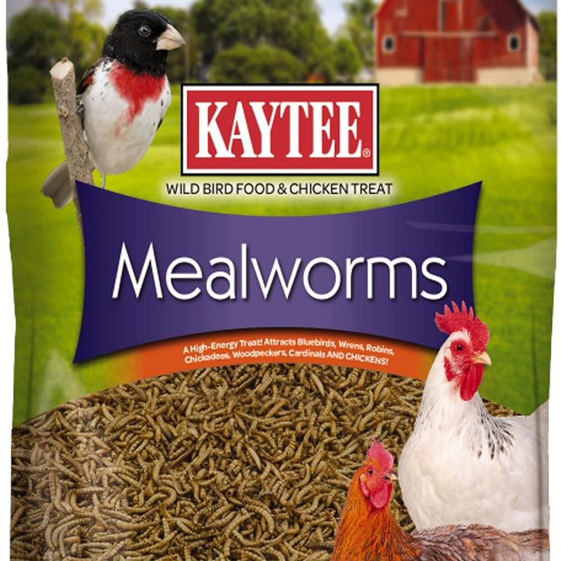 Kaytee Wild Bird Food Mealworms For Bluebirds, Wrens, Robins, Chickadees, Woodpeckers, Cardinals & Chickens, 3.5 Ounce