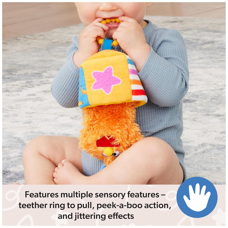 Ms. Rachel Herbie Sensory Take-Along Toy with Jitter & Peek-A-Boo Play | Multiple Sensory Surfaces & BPA-Free Teether, Clips to Strollers, Toddler Toys for Girls & Boys Ages 3 Months to 1+