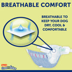 Hartz Disposable Dog Diapers, Size M 32 count, Comfortable & Secure Fit, Easy to Put On | Comfortable & Secure Fit, Easy to Put On, Super Absorbent, Breathable Material, Adjustable Tail Hole, Male & Female Diaper