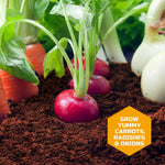 Discovery Edible Veggie Garden Watch-It-Grow Kit for Kids, DIY STEM Activity with 11-Piece Science Kit