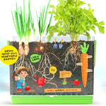 Dan&Darci root viewer kit for kids, grow your own plant, science STEM toy, craft gardening kit for ages 4-8