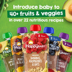Happy Baby Organics Stage 2 Baby Food Pouches, Gluten Free, Vegan & Healthy Snack, Clearly Crafted Fruit & Veggie Puree, Fruit & Veggie Variety Pack, 4 Ounces (Pack of 10), Amazon Exclusive