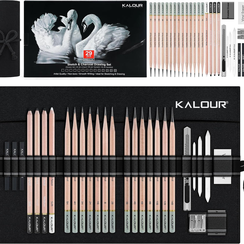 KALOUR 18-Piece Professional Sketch Pencil Set - Includes 5H to 14B Pencils, Vinyl Eraser, Kneaded Eraser,Sharpener and Paper Blending Stump - Ideal for Artists and Beginners
