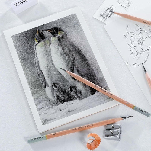 KALOUR 18-Piece Professional Sketch Pencil Set - Includes 5H to 14B Pencils, Vinyl Eraser, Kneaded Eraser,Sharpener and Paper Blending Stump - Ideal for Artists and Beginners