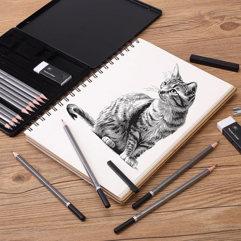 Mr. Pen- Drawing Sketching Pencil Set, 19 pcs, Graphite Pencils (10B-6H) | Graphite Sticks, Erasers, Metal Sharpener, for Drawing, Sketching, Shading & Art Projects
