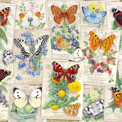 Wonder Forge Butterfly Splendor 1000 Piece Jigsaw Puzzle for Adults with Perfectly Fitting Pieces