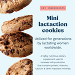 Lactation Cookies Breastfeeding Supplement - Chocolate Chip - Support Mothers Breast Milk Supply Increase - with Brewers Yeast Powder, Oat Flour, and Flax for Lactation - Fenugreek Free - 10oz
