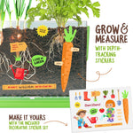 Dan&Darci root viewer kit for kids, grow your own plant, science STEM toy, craft gardening kit for ages 4-8