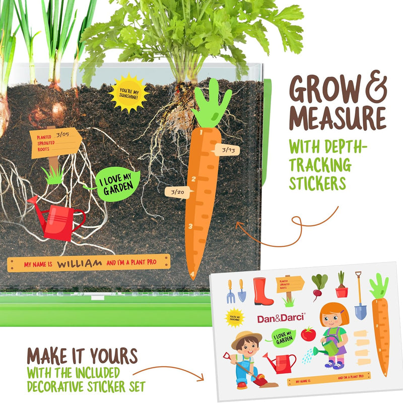 Dan&Darci root viewer kit for kids, grow your own plant, science STEM toy, craft gardening kit for ages 4-8