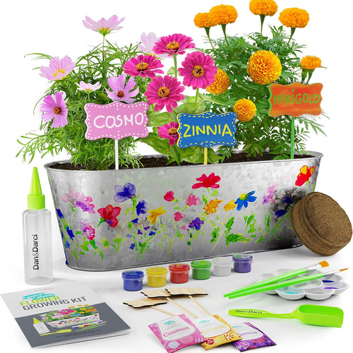 Dan&Darci Paint & Plant Flower Growing Kit for Kids - Perfect for Ages 5-12, a Fun and Educational Gift