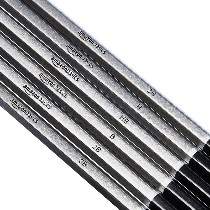 Amazon Basics Sketching and Drawing Art Pencil Kit, 17-Piece Set for Artists, Drawing Supplies with Pencils, Charcoal, Erasers, Sharpener for Shading, Black, White