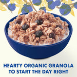 Cascadian Farm Organic Blueberry Vanilla Granola, No Added Sugar, 11 oz | 0g Added Sugar, Sweetened with Date Powder, 27g Whole Grain per Serving, Non-GMO Verified, Resealable Pouch