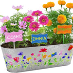 Dan&Darci Paint & Plant Flower Growing Kit for Kids - Perfect for Ages 5-12, a Fun and Educational Gift
