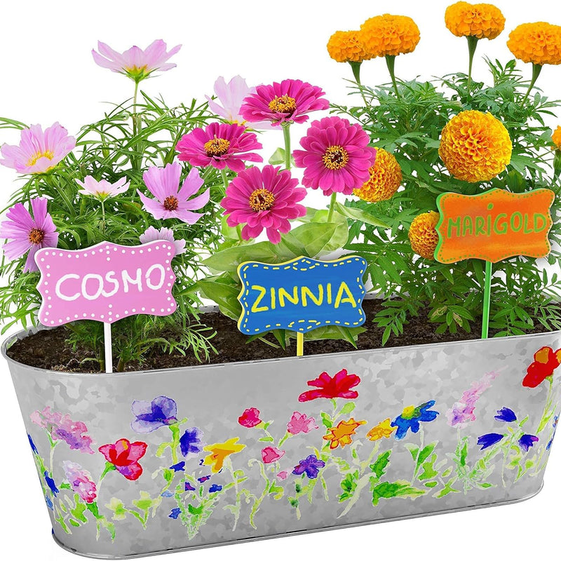 Dan&Darci Paint & Plant Flower Growing Kit for Kids - Perfect for Ages 5-12, a Fun and Educational Gift